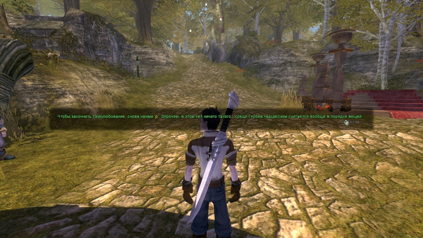 Запомнилась Fable: The Lost Chapters не только благодаря продвинутой для того времени системе кастомизации персонажа. Игра замечательна едкой сатирой на Героев, отражающих все тайные мечты игрока.