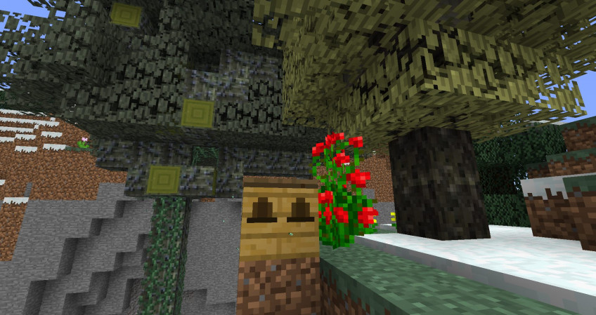 Лучшие моды для Minecraft Лучшие моды для Minecraft