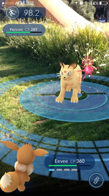 Тренды года: киберспорт, VR и Pokemon GO Тренды года: киберспорт, VR и Pokemon GO