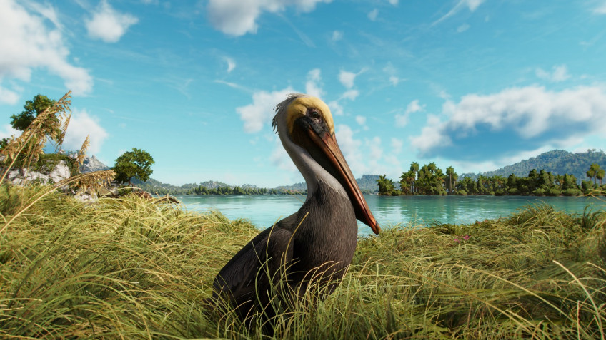 Гайд: Как покормить пеликанов в Far Cry 6
