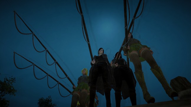 Black Desert Online: впечатления от первого этапа ЗБТ Black Desert Online: впечатления от первого этапа ЗБТ