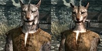 Руководство по The Elder Scrolls 5: Skyrim