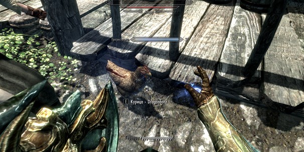 Руководство по The Elder Scrolls 5: Skyrim