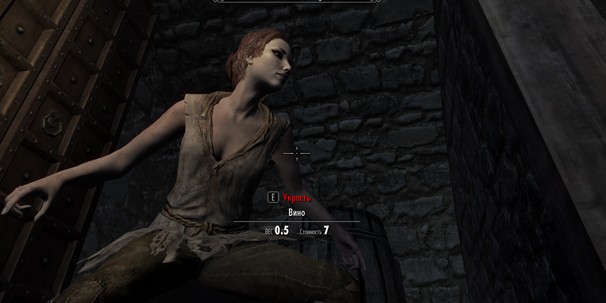 Руководство по The Elder Scrolls 5: Skyrim
