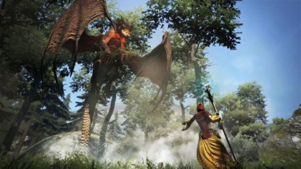 Dragon’s Dogma Dragon’s Dogma
