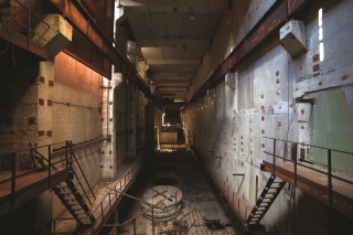 naturalnyj s t a l k e r kak igrovye