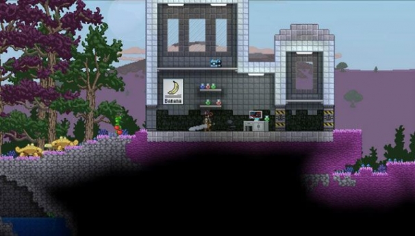 Starbound Starbound