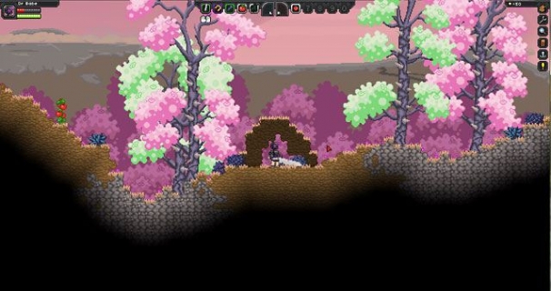 Starbound Starbound