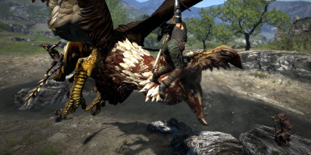Dragon’s Dogma Dragon’s Dogma