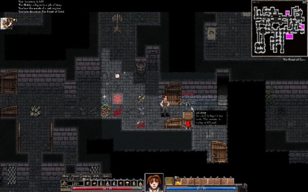 Dungeons of Dredmor Dungeons of Dredmor