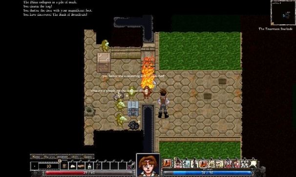 Dungeons of Dredmor Dungeons of Dredmor