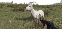 DayZ DayZ