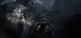 Gamescom 2014: Bloodborne Gamescom 2014: Bloodborne