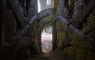 Первые впечатления от Paragon