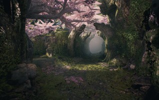 Первые впечатления от Paragon