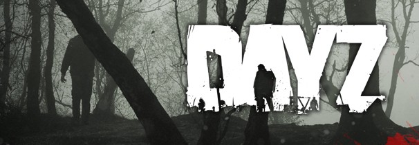 DayZ DayZ
