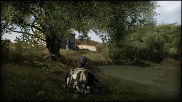 DayZ DayZ