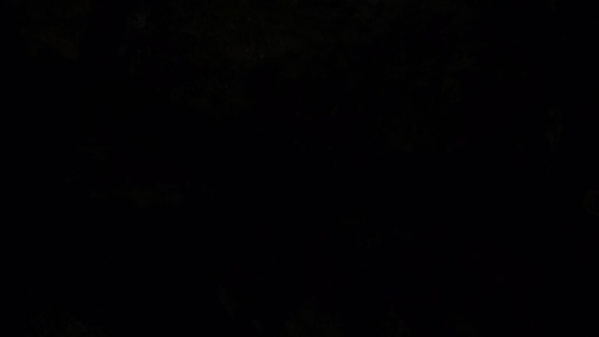 К тому же гробницы и подземелья в Shadow ужасно тёмные. Ни в одной другой части TR темнота не заполняла экран целиком, но в Shadow это обычное дело