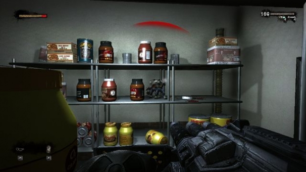 Duke Nukem Forever Duke Nukem Forever
