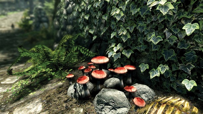 Снег в высоком разрешении. Чего мы ждем от The Elder Scrolls 5: Skyrim — Special Edition? Снег в высоком разрешении. Чего мы ждем от The Elder Scrolls 5: Skyrim — Special Edition?