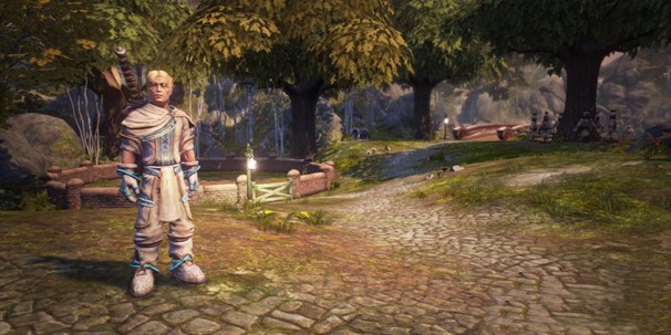 Стоит ли покупать fable anniversary