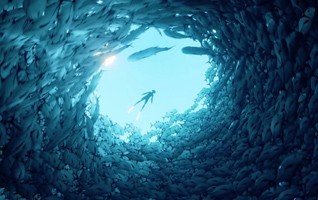 Фияг что это такое. Смотреть фото Фияг что это такое. Смотреть картинку Фияг что это такое. Картинка про Фияг что это такое. Фото Фияг что это такое