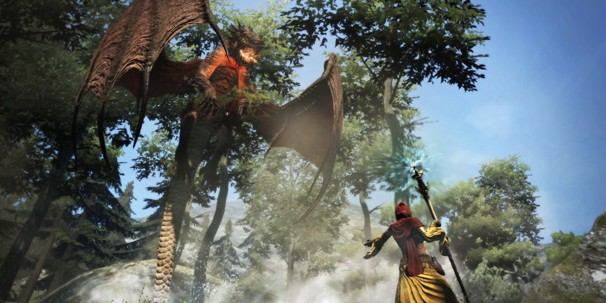 Dragon's Dogma Dragon's Dogma