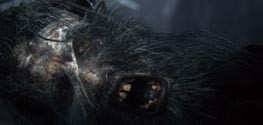 Bloodborne Bloodborne
