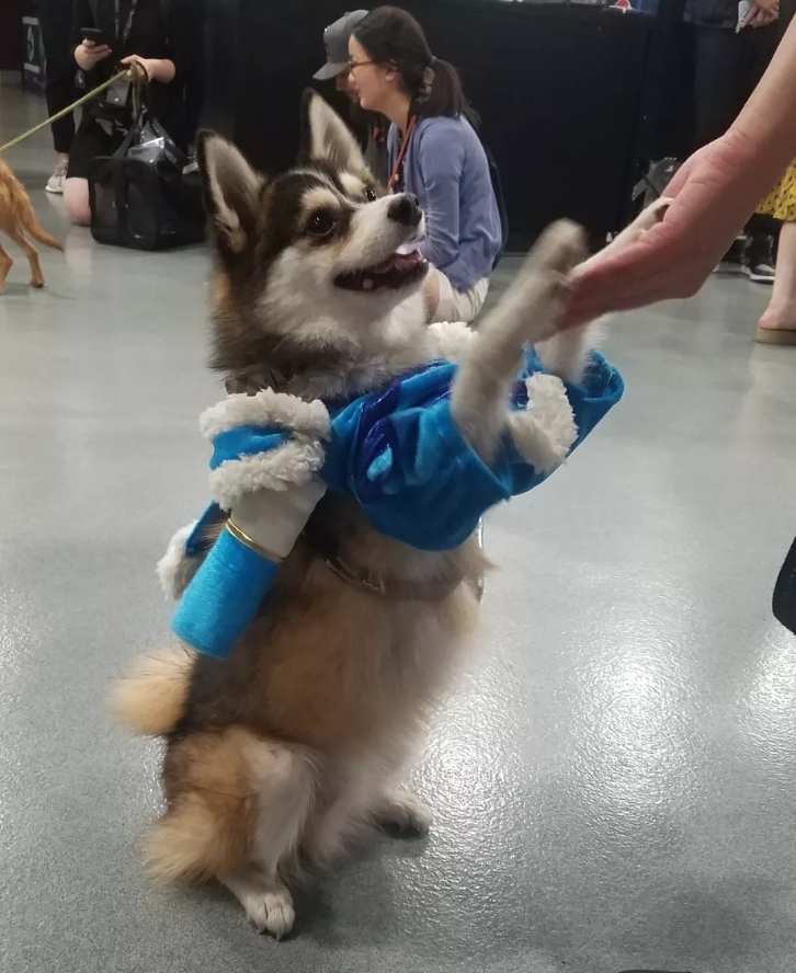 Лучший косплей по Dota 2: Специальный выпуск по случаю The International 2019 Лучший косплей по Dota 2: Специальный выпуск по случаю The International 2019