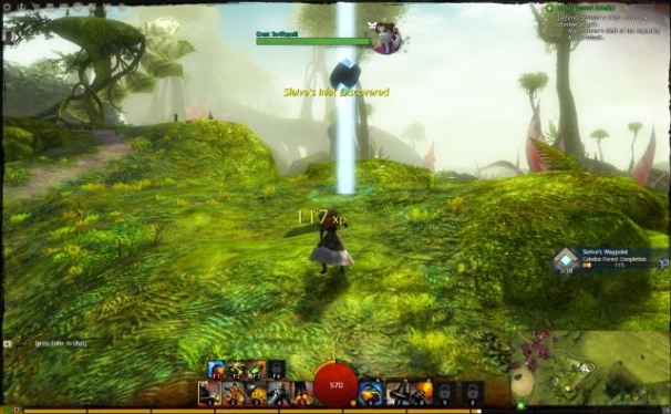 Guild Wars 2 Guild Wars 2