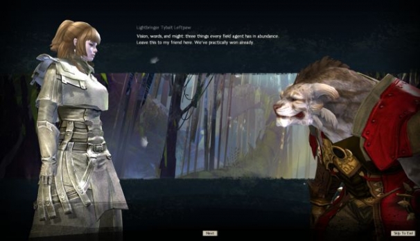 Guild Wars 2 Guild Wars 2