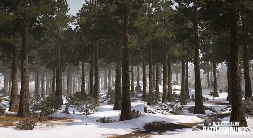 Как выжить на Vikendi. Краткий гид по новейшей карте для PUBG Как выжить на Vikendi. Краткий гид по новейшей карте для PUBG