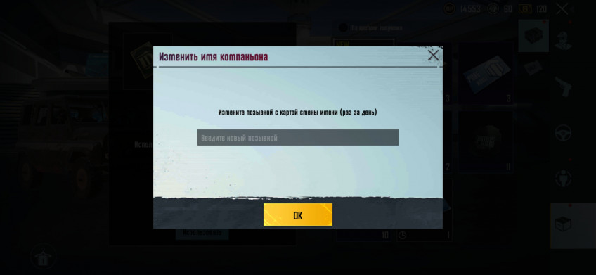 Гайд: Как сменить ник в PUBG