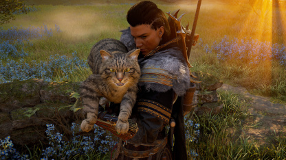 Гайд: Как погладить всех котов Эврё в Assassin’s Creed Valhalla