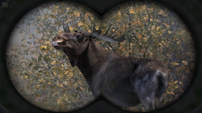 Cabela’s Big Game Hunter: Pro Hunts.