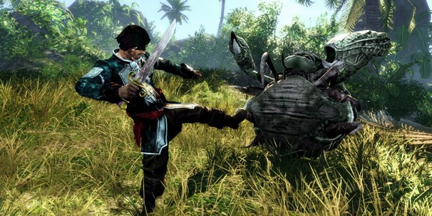 Risen 2: Темные воды Risen 2: Темные воды