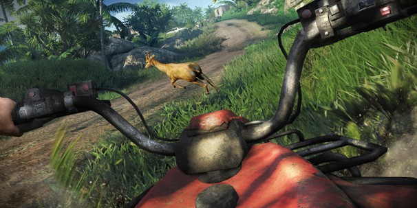 Far Cry 3. Остров безумия Far Cry 3. Остров безумия
