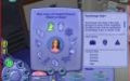 Руководство и прохождение по "The Sims 2: University"