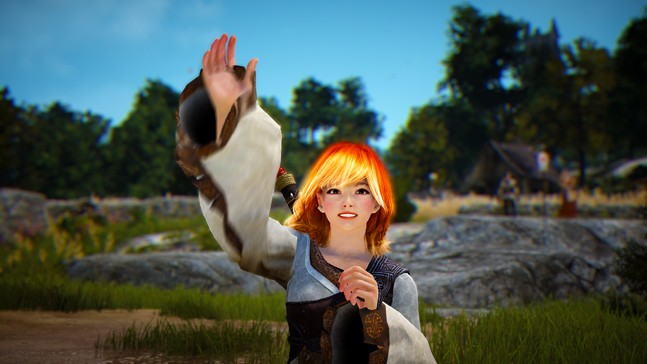 Дневники героя: шесть дней в Black Desert Online Дневники героя: шесть дней в Black Desert Online