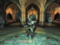 The Elder Scrolls 4: Oblivion — Knights of the Nine