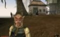 Руководство и прохождение по "The Elder Scrolls III: Morrowind"