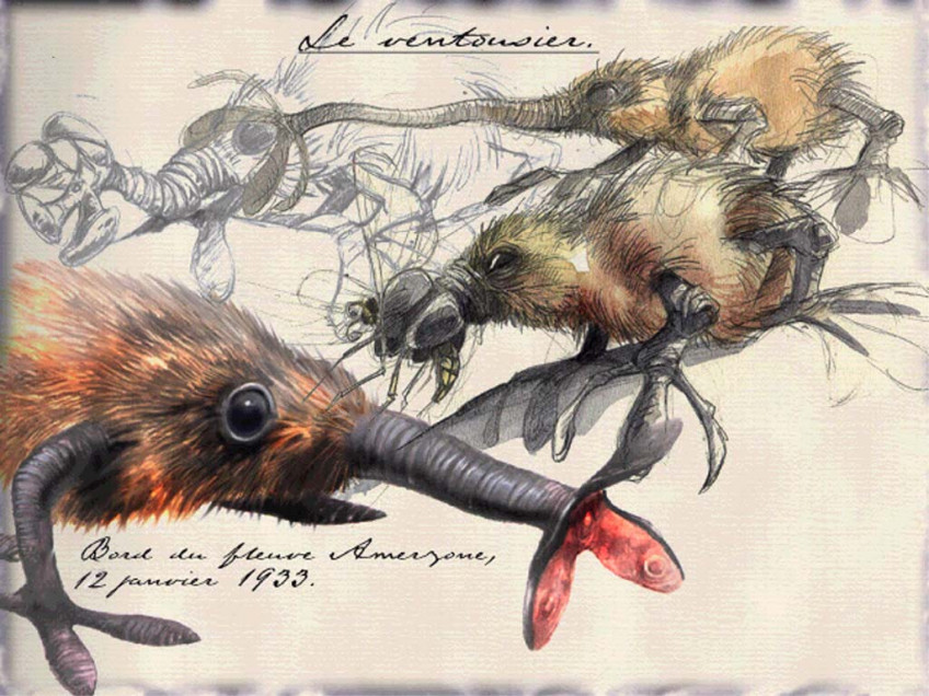 A year after the release of Amerzone, a collection of concepts, sketches and ready-made art Le Testament de L'Explorateur was released.