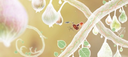 Botanicula Botanicula