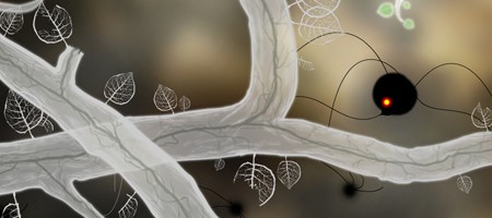 Botanicula Botanicula