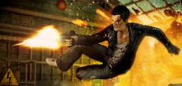 Sleeping Dogs Sleeping Dogs