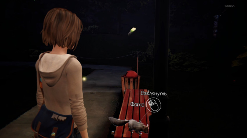 Гайд: Все фотографии в Life is Strange Remastered — третий эпизод