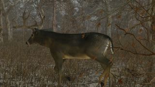 Pro Deer Hunting