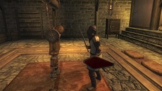 The Elder Scrolls 4: Oblivion - Knights of the Nine