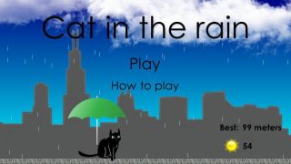 In the rain cat ‘Cat in