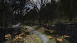 Rhiannon: Curse of the Four Branches